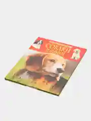 Конфетный детская энциклопедия