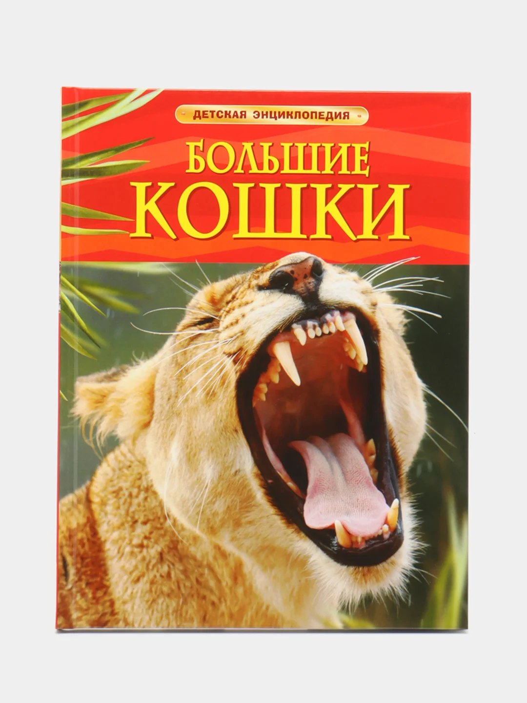 Индиго детская энциклопедия