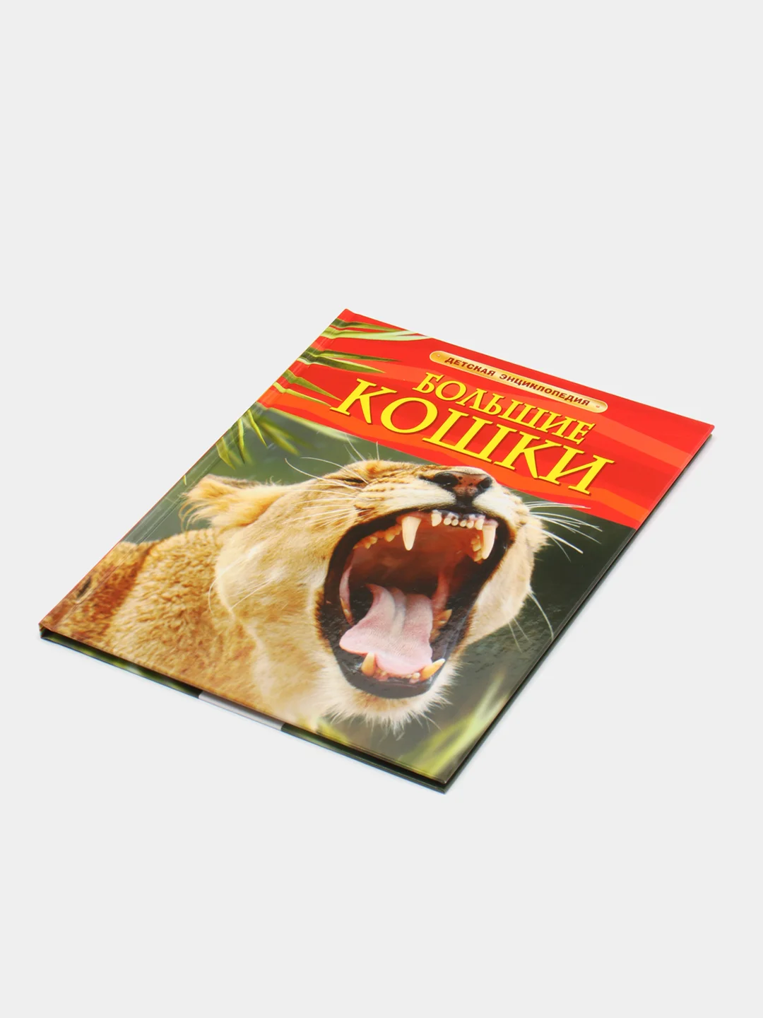 Индиго детская энциклопедия
