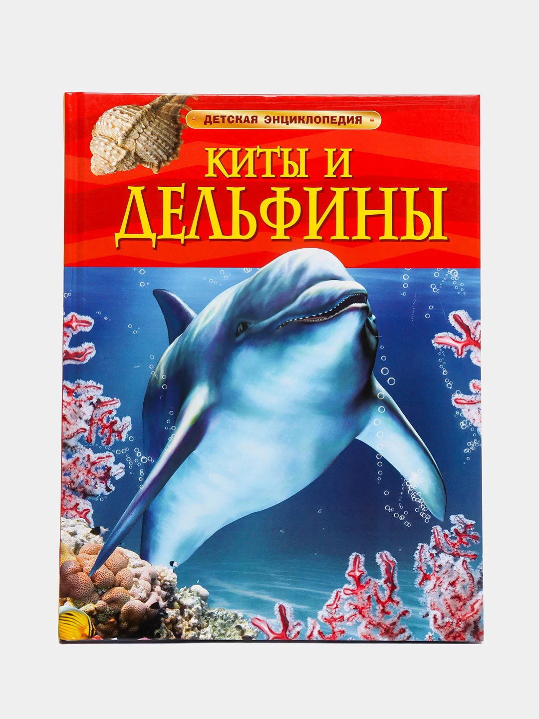 Бирюзовый детская энциклопедия