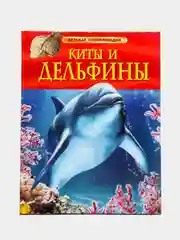 Бирюзовый детская энциклопедия