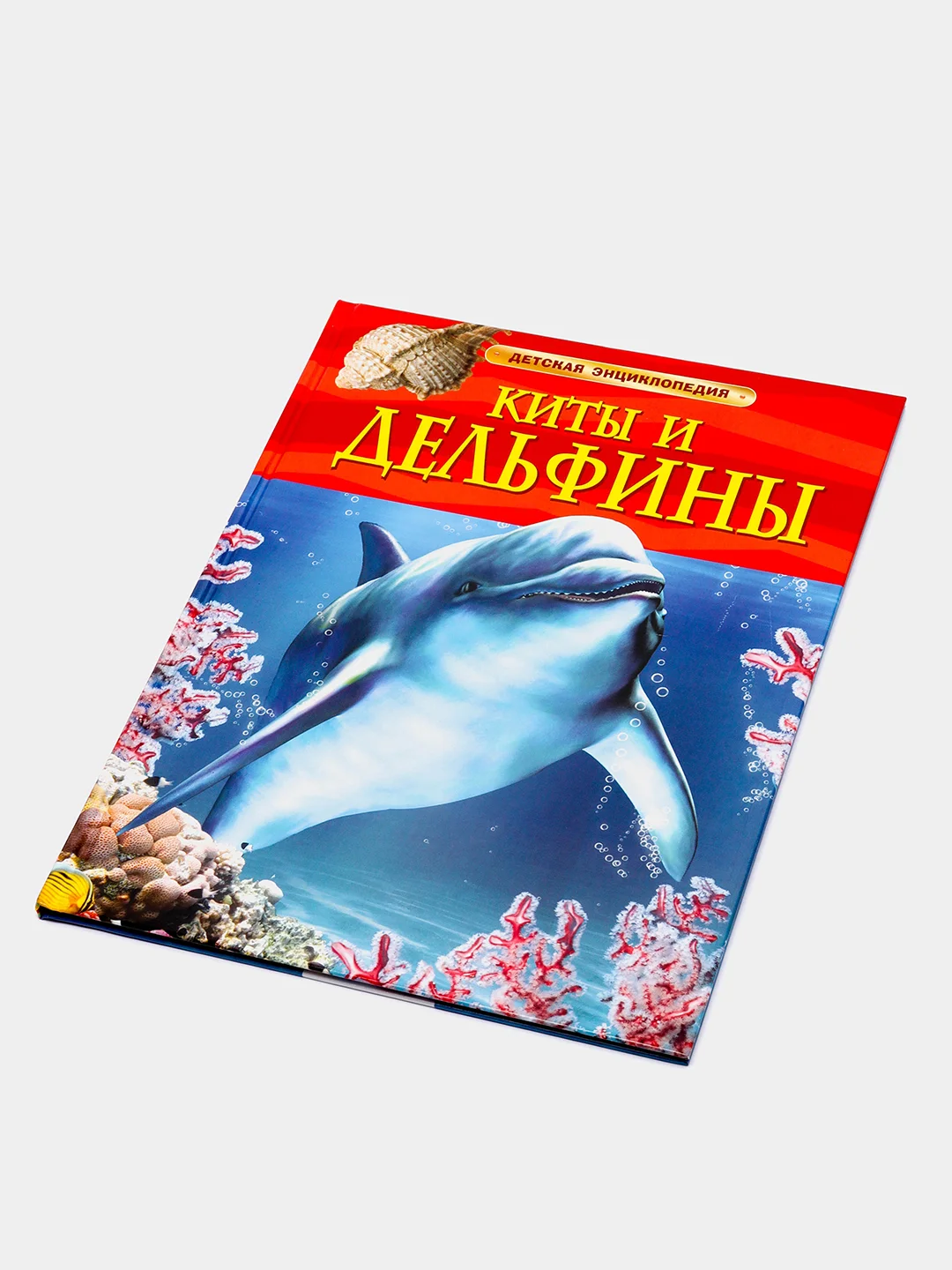 Бирюзовый детская энциклопедия