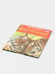 Бежевый детская энциклопедия