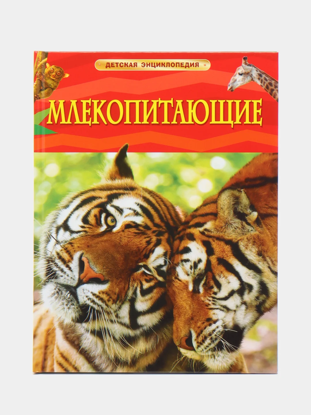 Бежевый детская энциклопедия