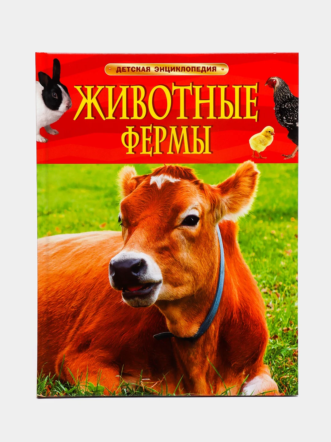 Зеленый детская энциклопедия