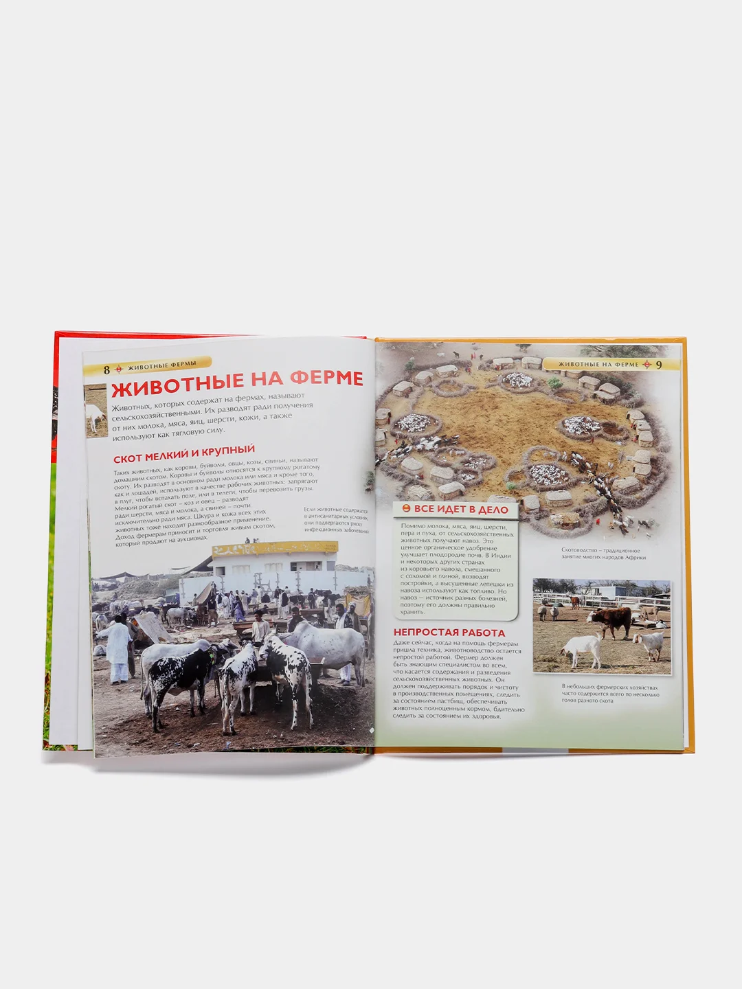 Зеленый детская энциклопедия