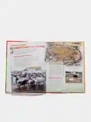 Зеленый детская энциклопедия