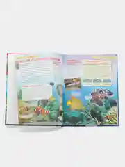 Бирюзовый детская энциклопедия