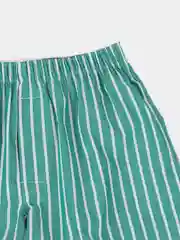 Зеленый трусы семейные мужские IzyWear