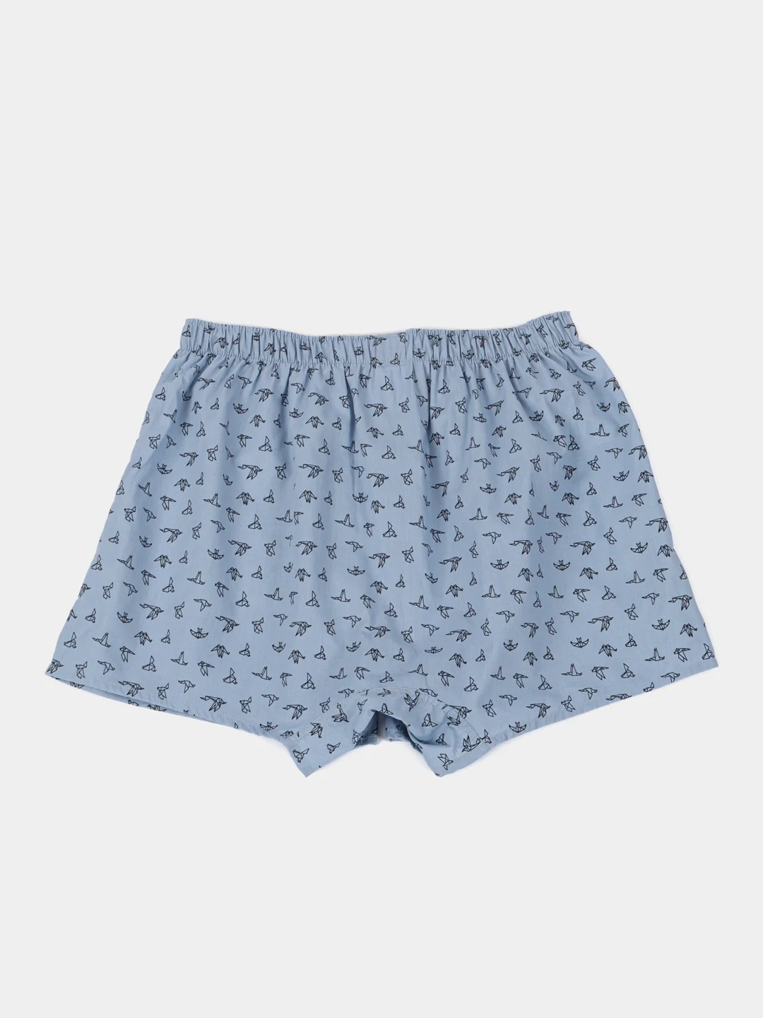 Ледяной трусы семейные мужские IzyWear