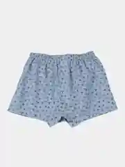 Ледяной трусы семейные мужские IzyWear