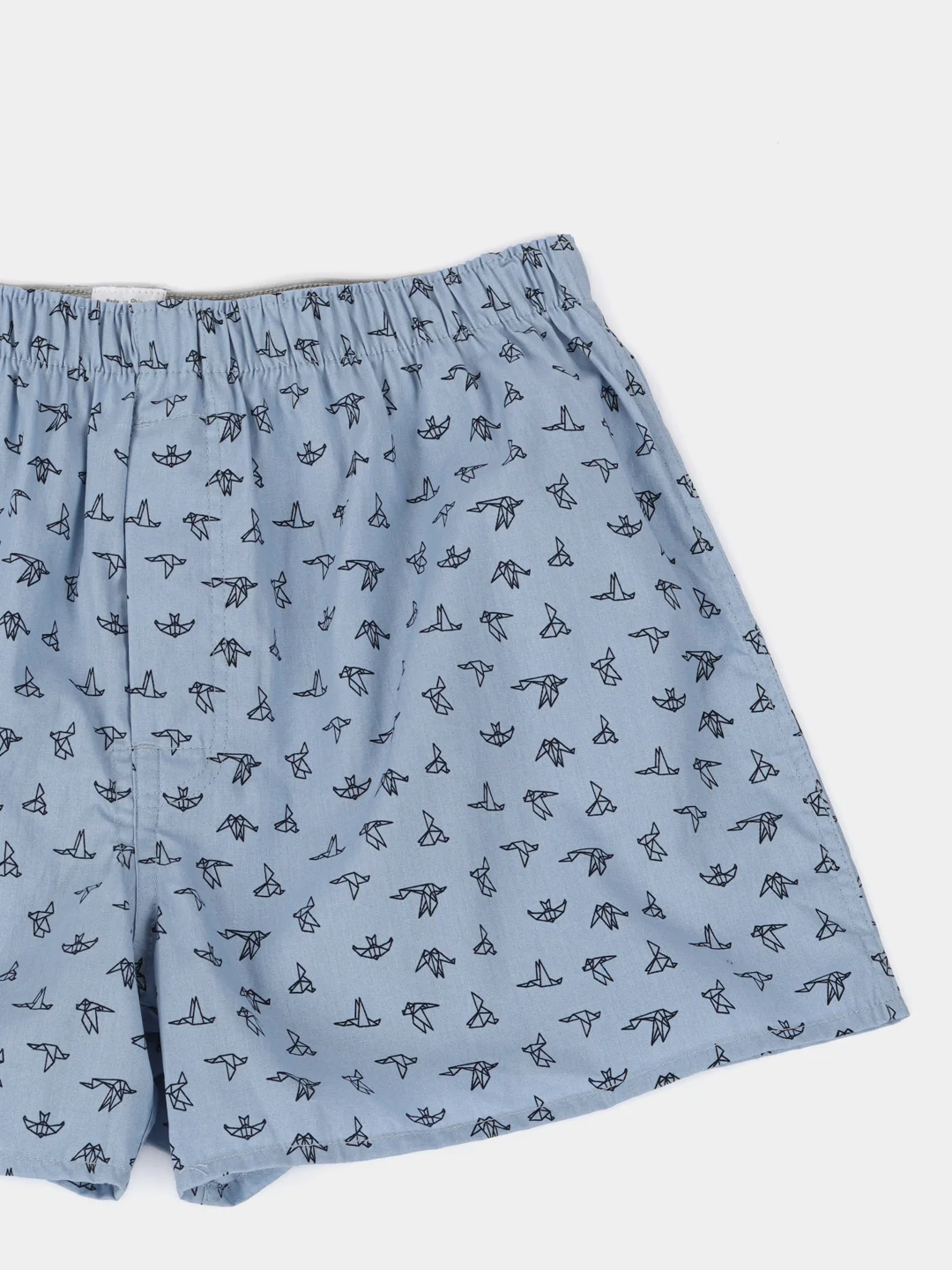 Ледяной трусы семейные мужские IzyWear