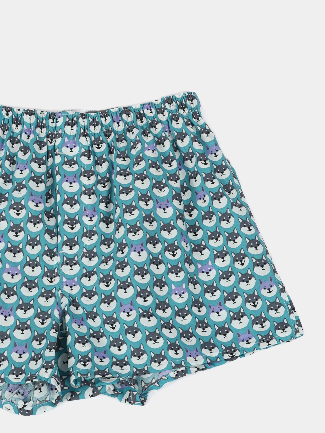 Бирюзовый трусы семейные мужские IzyWear