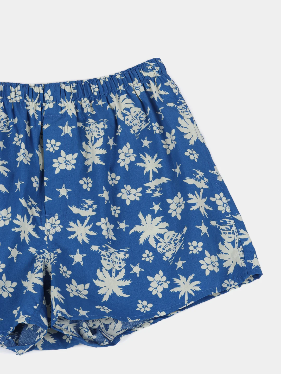 Индиго трусы семейные мужские IzyWear