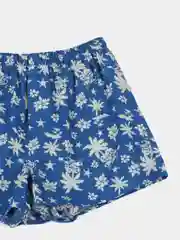 Индиго трусы семейные мужские IzyWear