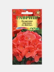 Пеларгония Йитка (семена,цветы)