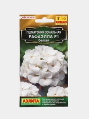Пеларгония Рафаэлла белая, семена, цветы