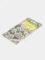 Лобулярия морская Снежный ковер, семена, цветы