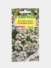 Лобулярия морская Снежный ковер, семена, цветы