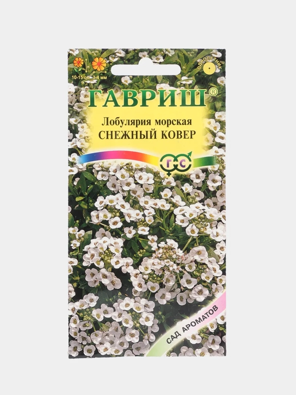 Лобулярия морская Снежный ковер, семена, цветы