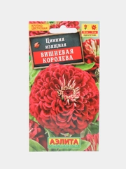 Цинния "Вишневая королева" (семена, цветы)