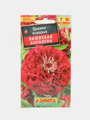 Цинния "Вишневая королева" (семена, цветы)