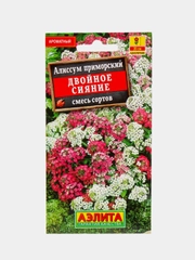Алиссум "Двойное сияние" (семена, цветы)