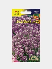 Алиссум "Лиловый мед" (семена, цветы)