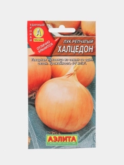 Лук "Халцедон" (семена)