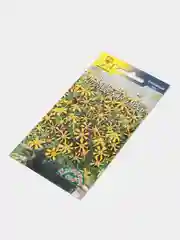 Бархатцы Королевская смесь (семена, цветы)