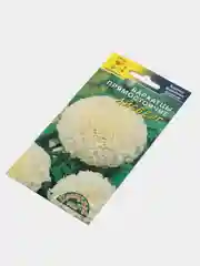 Бархатцы Айсберг, семена, цветы