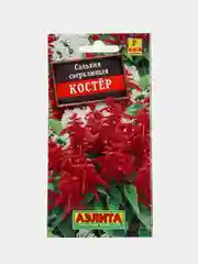 Сальвия "Костер", семена, цветы