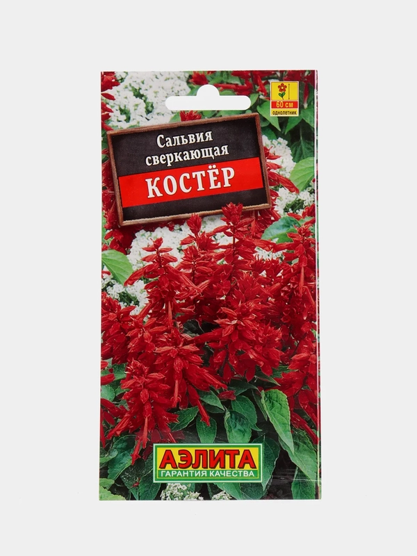 Сальвия "Костер", семена, цветы