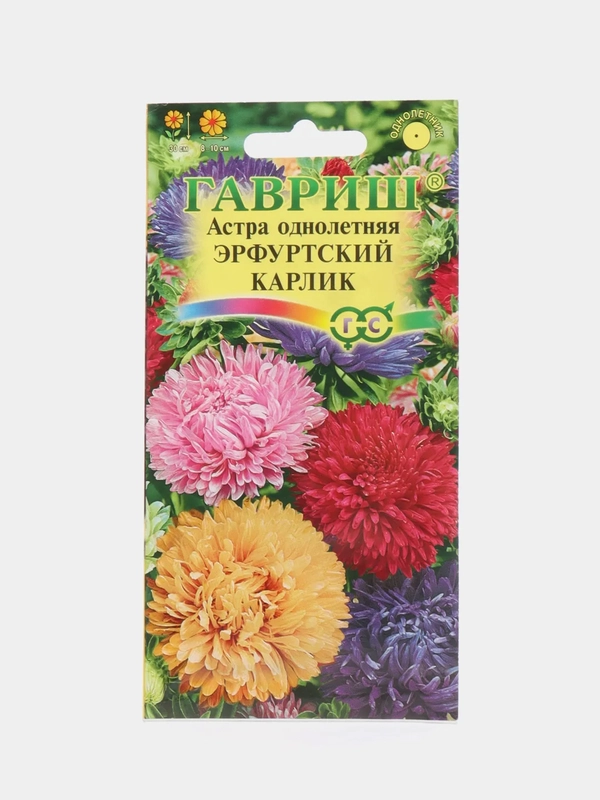 Астра "Эрфуртский карлик", семена, цветы