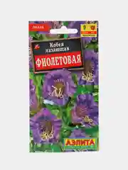 Кобея "Фиолетовая" (семена, цветы)