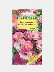 Роза "Крылья Ангела" (семена, цветы)