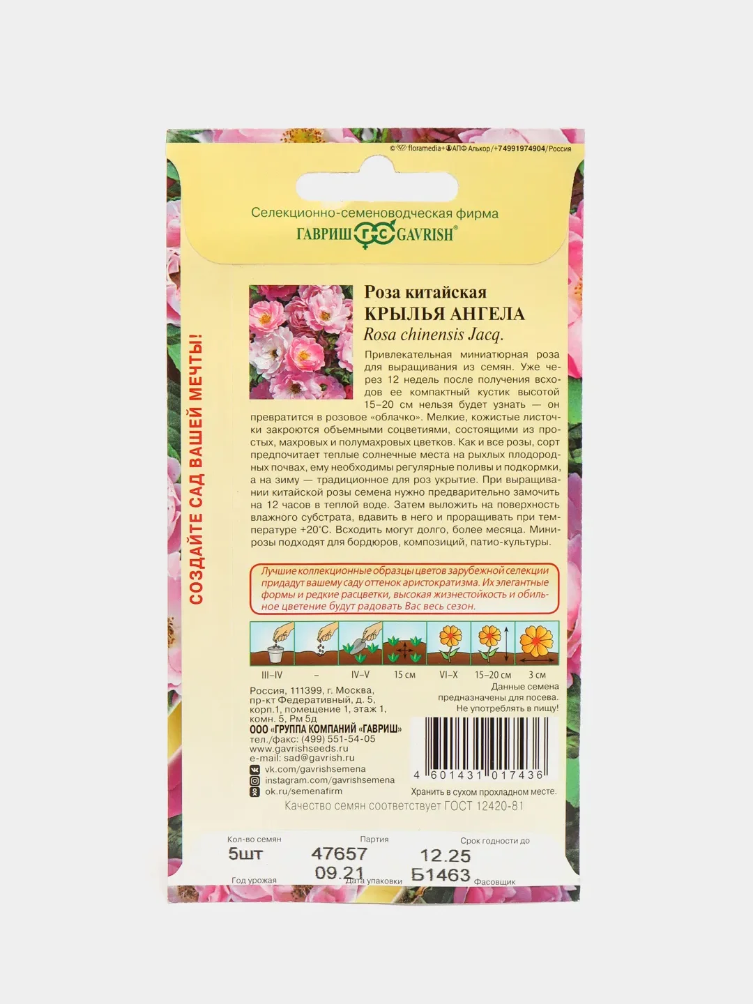 Роза "Крылья Ангела" (семена, цветы)
