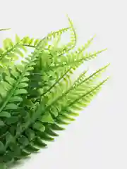 Папоротник искусственный