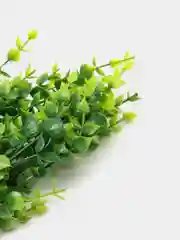 Искусственная зелень эвкалипта