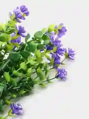 Розовый искусственные цветы "Камелия"4 вида расцветки
