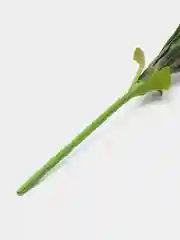 Алый искусственные трава, цветы имитация Амазонки,хлорофитума