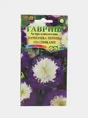 Астра Пампушка Черника со сливками (семена, цветы)