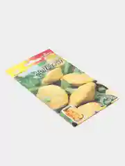 Патиссон Монетки (семена)