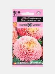 Астра Хризантелла жемчужный восторг (семена, цветы)