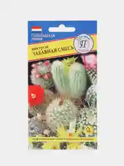 Кактус "Забавная смесь", семена, цветы