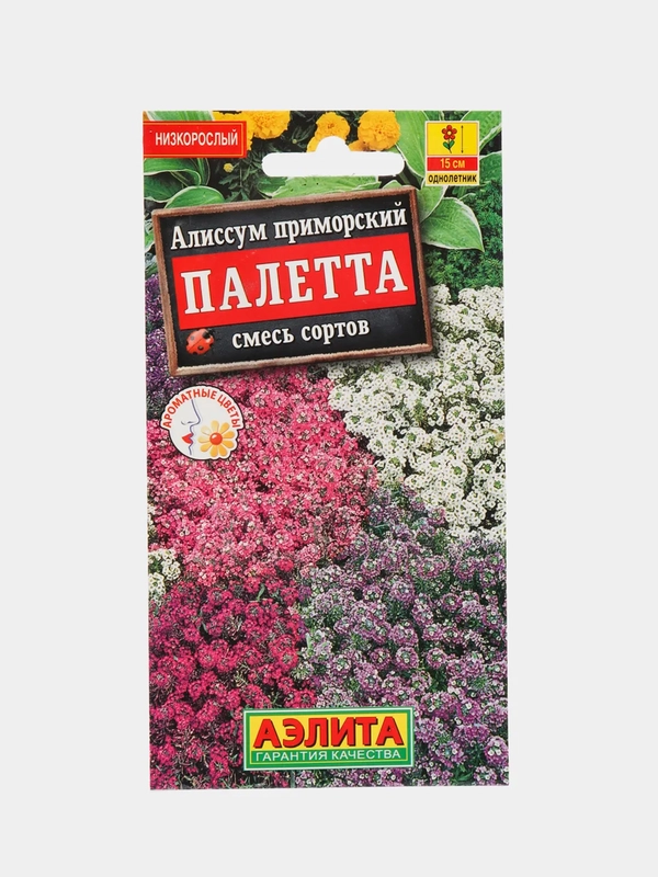 Алиссум Палетта, семена, цветы
