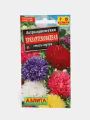 Астра Хризантемовидная, семена, цветы