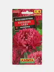 Астра "Королева сада малиновая", семена, цветы