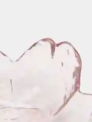 Вишнёвый соусники