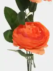 Коралловый ранункулюс искусственный, цветы искусственные, розы, пионы, ритуальные, растения